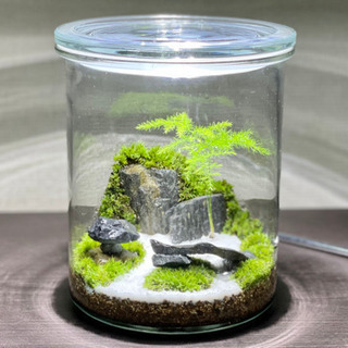 愛知県の中古日本庭園が無料 格安で買える ジモティー