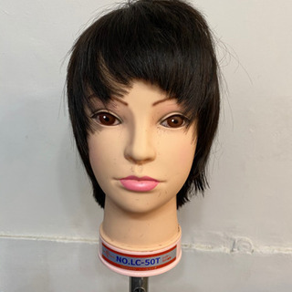 カットウィッグ×25個　練習用　美容師 カットウィッグ×25個 練習用 美容師
