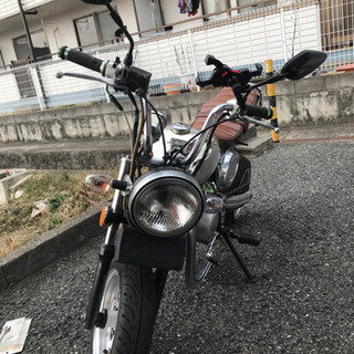 【ネット決済】ミニモト キットバイク モンキータイプ