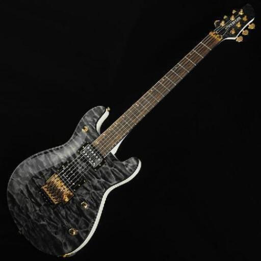 【限定品新品】APG-85S “IKEBE ORIGINAL MODEL”