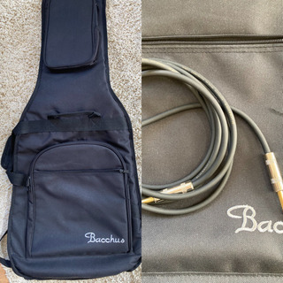 BACCHUS GLOBAL Series BTL-ASH テレキャス