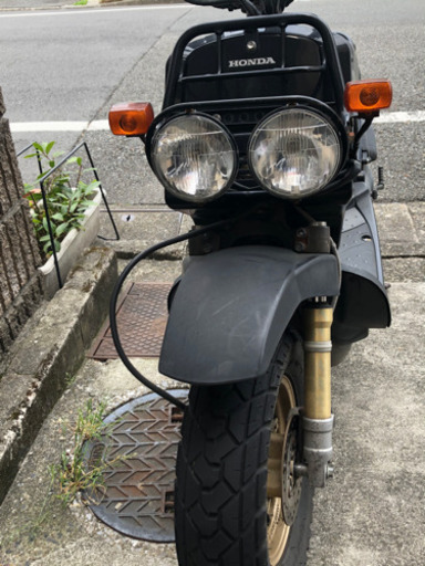 ズーマー 東京大田区矢口 | castroarquitetos.com