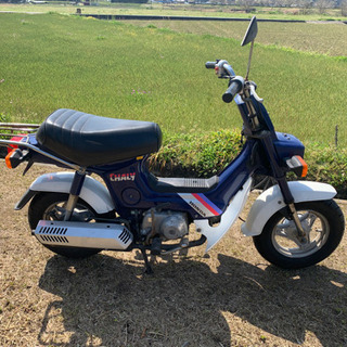ホンダ　シャリー50　人気の青！！　12V　実動、絶好調です！！ シャリー(ホンダ) ブルー系・青色のバイク一覧｜新車・中古バイクなら