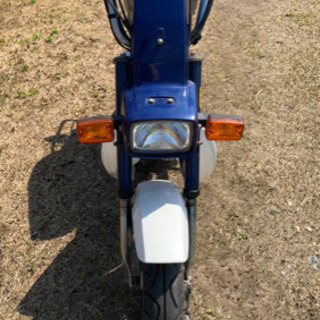ホンダ　シャリー50　人気の青！！　12V　実動、絶好調です！！ シャリー(ホンダ) ブルー系・青色のバイク一覧｜新車・中古バイクなら