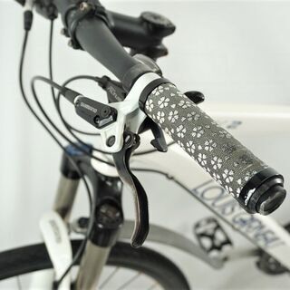 LOUIS GARNEAU 「ルイガノ」 LGS-TRX 2013年モデル マウンテンバイク