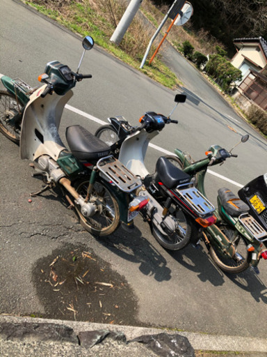 ☆愛媛県☆バーディー80