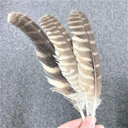 お値下げ交渉可 オオフクロウ羽根3本セット本物 770円 税込 法人所有ハンドメイドなどに 事務員 大阪天満宮のその他の中古あげます 譲ります ジモティーで不用品の処分