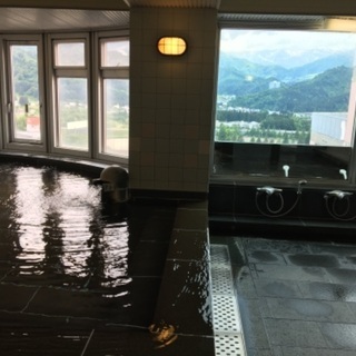 越後湯沢　岩原　展望温泉大浴場付きワンルーム14畳　貸します