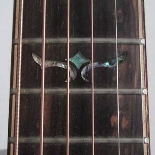 EU34乗馬キュロット乗馬ズボンフルグリップフルシート黒ブラック-アコースティックギター（Rosetta WE、全単板）