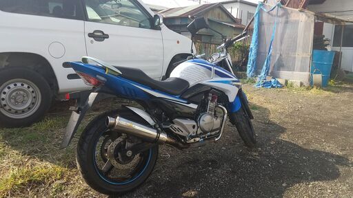 GSR250 フォークOH BTオイルフィルター新品！ニンジャ？250cc