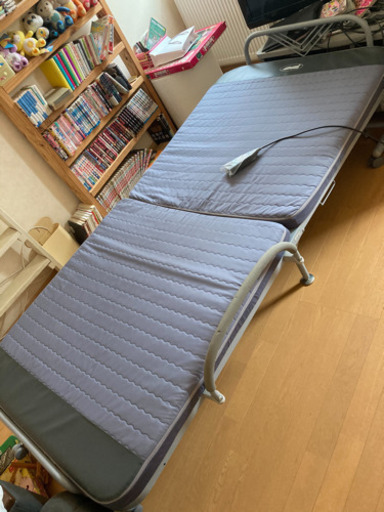 電動ベット