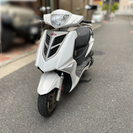 PGO ティグラ ホワイト 実働 - 大阪府のバイク