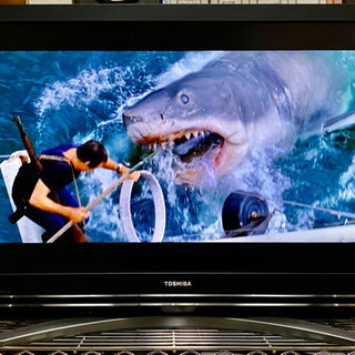 42インチハイエンド液晶テレビ東芝REGZA  大幅値下&オマケ！　録画用HDD1TBセット 42インチハイエンド液晶テレビ東芝REGZA 大幅値下&オマケ！ 録画用