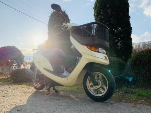 HONDA原付DiOチェスタバッテリー新品通勤通学配達50cc