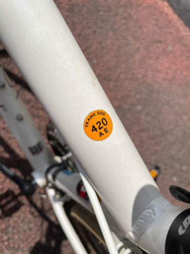 LOUIS GARNEAU[ルイガノ]LGS-CA ホワイト ルイガノ LGS-CA 420 LOUIS