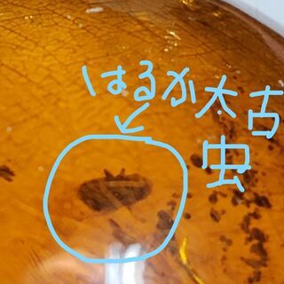 超レアな お宝 発見 天然 琥珀 虫入り アンバー リング 加工 ペンダント 加工 ブローチ 加工 承ります