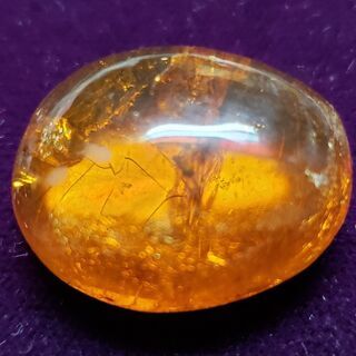 超レアな お宝 発見 天然 琥珀 虫入り アンバー リング 加工 ペンダント 加工 ブローチ 加工 承ります
