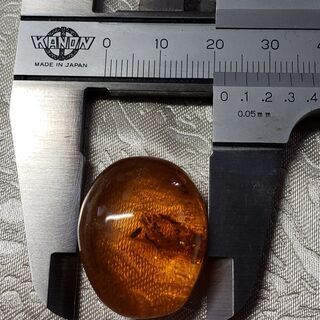 超レアな お宝 発見 天然 琥珀 虫入り アンバー リング 加工 ペンダント 加工 ブローチ 加工 承ります