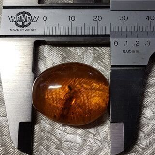 超レアな お宝 発見 天然 琥珀 虫入り アンバー リング 加工 ペンダント 加工 ブローチ 加工 承ります