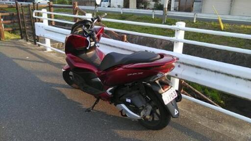 PCX125 自賠1年4月 ｸﾞﾘｯﾌﾟﾋｰﾀｰ