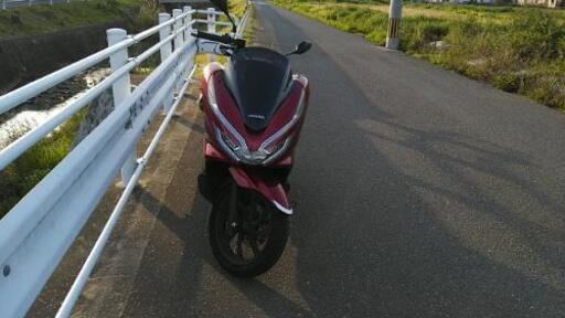 PCX125 2020年時新車 自賠1年4月 ｸﾞﾘｯﾌﾟﾋｰﾀｰ付き