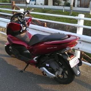 PCX125 2020年時新車 自賠1年4月 ｸﾞﾘｯﾌﾟﾋｰﾀｰ付き