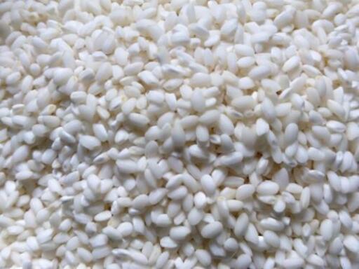 コシヒカリ代用 モチ米白米約30キロ 阿東産モチ米 おこわ飯に
