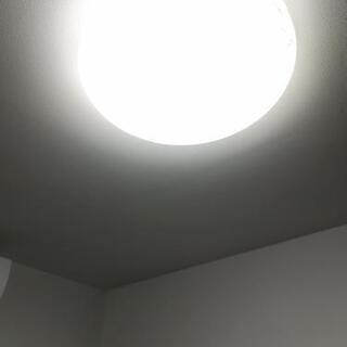 天井白色照明 シーリングライト