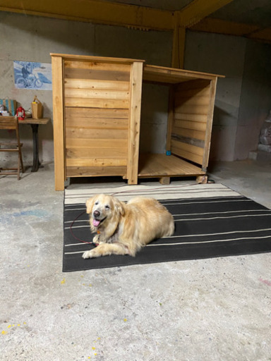 犬小屋　杉