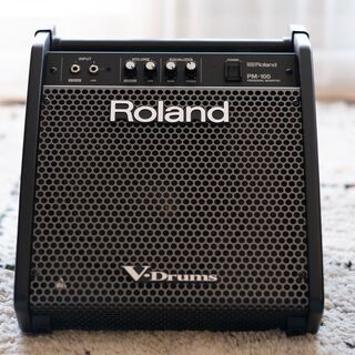 Roland PM-100 (V-Drums用モニタースピーカー) - アクセサリー
