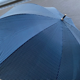 傘 紺水玉