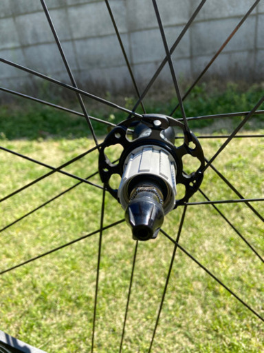 CAMPAGNOLO 2025 ZONDA C17 WO CULT SHIMANO HG カンパニョーロ ゾンダ