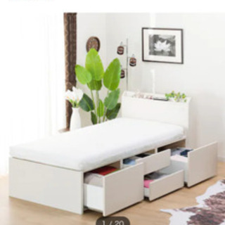 バネ口ポーチ でかねこ ちびねこ カメリア猫黄色 - その他 