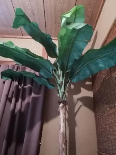 観葉植物バナナツリーバナナの木フェイクフェイクグリーン造花南国アジアン なおたる 与野本町の家具の中古あげます 譲ります ジモティーで不用品の処分