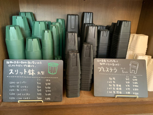 プレステラ、スリット鉢、プラ鉢 30%OFFです！