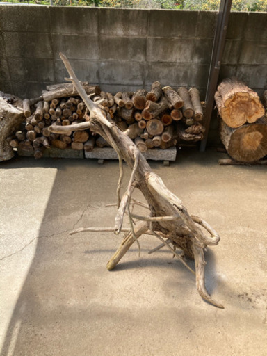 舞踏をしているような流木 | vaisand.com