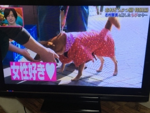 日立　WOOO　５０インチ　プラズマテレビ　内臓HDD２５０GB