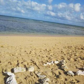 ヨガを🌊波の音を聞きながら、癒しのビーチにて開催！☺️