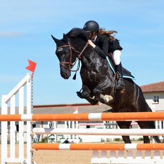 【4年に1度の国際スポーツイベント馬術競技のスタッフ募集】＃単発OK