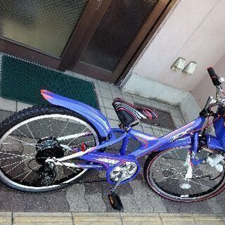 BRIDGESTONE EX 22吋ジュニアエクスプレスMTB ...