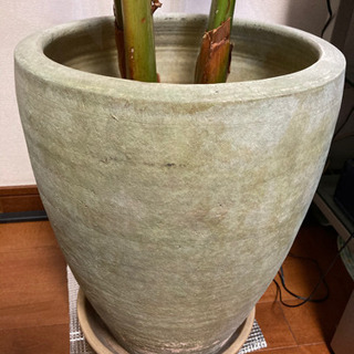 植木鉢　陶器 観葉植物鉢 プランター 大型