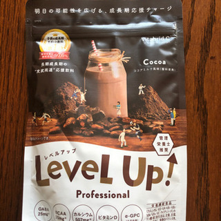 【ネット決済】プロテイン　レベルアップ Level up pro...