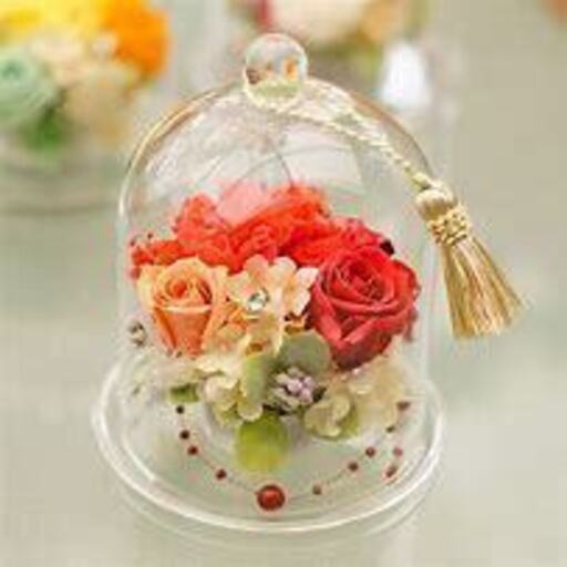 即日 5 9 時給1000円 母の日フラワーギフトイベントの接客スタッフ 株式会社ジャスプロ 鹿児島の花屋の無料求人 広告 アルバイト バイト募集情報 ジモティー