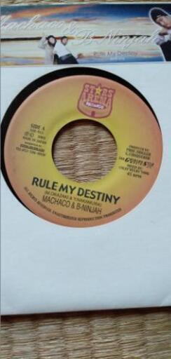 ジャパニーズレゲエレコード STARS ARENA | ptpnix.co.id