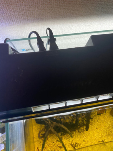 60センチ水槽セット※ただいま取引中です。