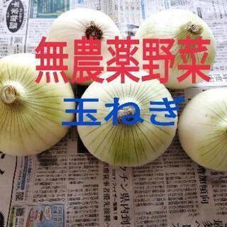 無農薬野菜🌈愛情たっぷり　玉ねぎ