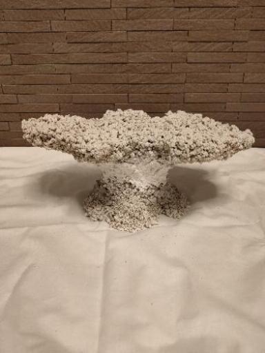 ライブロックレプリカ 擬岩 盆栽