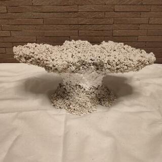 ライブロックレプリカ　擬岩　盆栽　