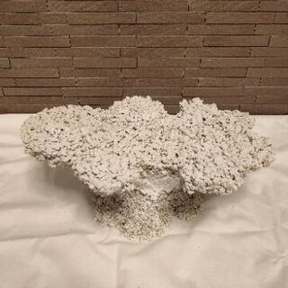 ライブロックレプリカ　擬岩　盆栽　