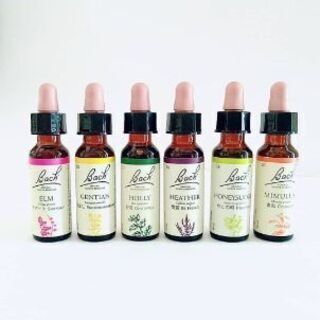 フラワーエッセンス 広告の無料掲載 ジモティー